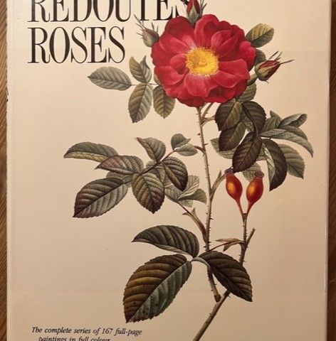 Bok med 167 flotte tegninger av roser.