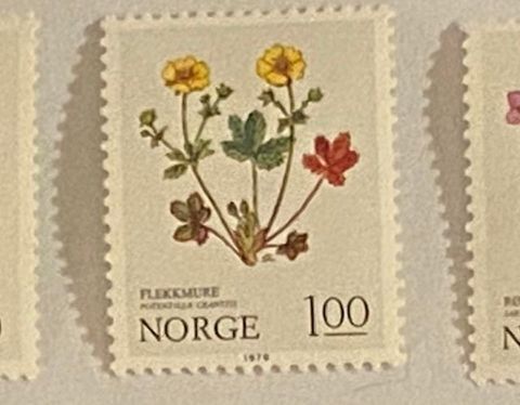 Norge, 1979 Blomstermerker 1979. NK 854, NK 855 og NK 856. Postfrisk