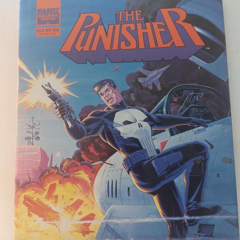 THE PUNISHER IN INTRUDER