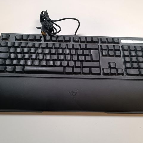 Razer ORNATA Chroma keyboard