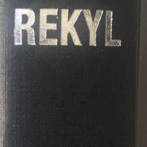 Fredrik Skagen: "Rekyl". Roman