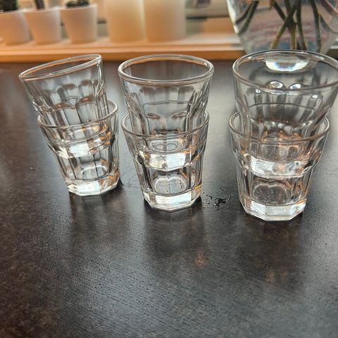 6 snapglass/shotglass