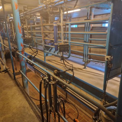 Delaval melkestall