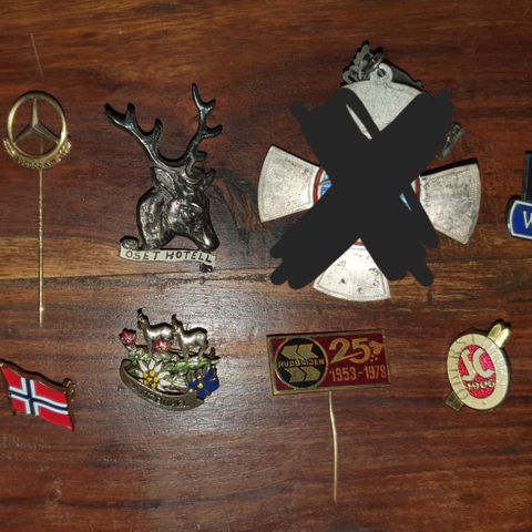 Diverse pins & Nåler.