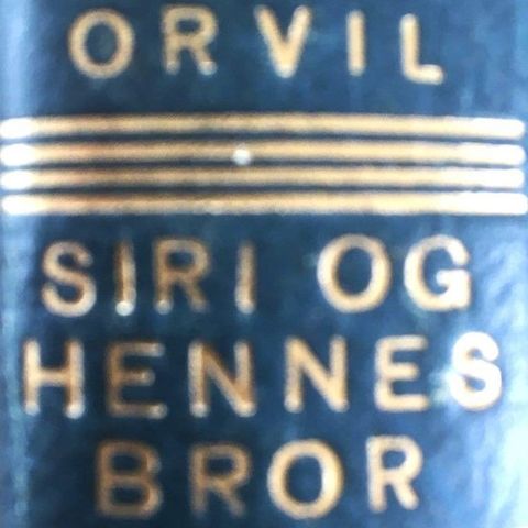Ernst Orvil: "Siri og hennes bror". Roman