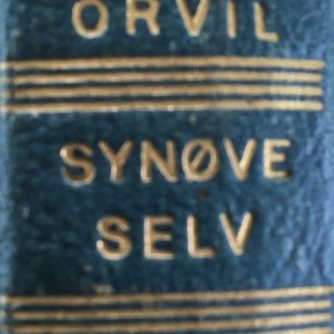 Ernst Orvil: "Synøve selv". Roman