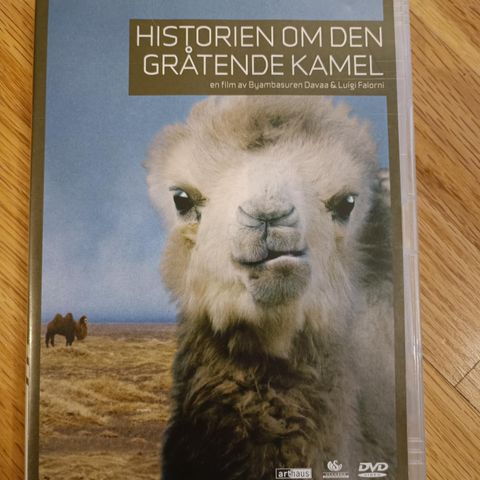 Historien om den Gråtende Kamel - DVD