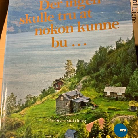 Der ingen skulle tru at nokon kunne bu av Oddgeir Bruaset til salgs.