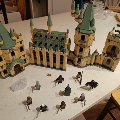 Harry potter Hogwarts castle 4842