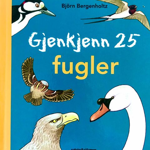 Gjenkjenn 25 fugler. Språk: svensk. Barnebøker Björn Bergenholtz