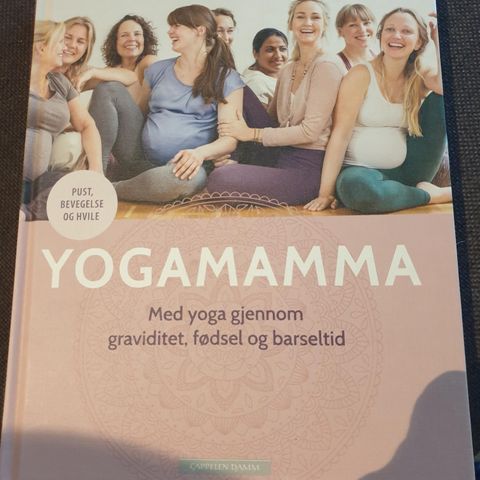 Bok Yogamamma selges lite brukt!