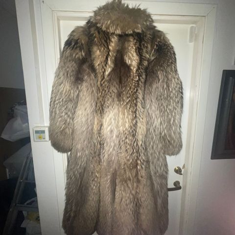 nydelig kraftig pels kvalitet pels av Finn Raccoon