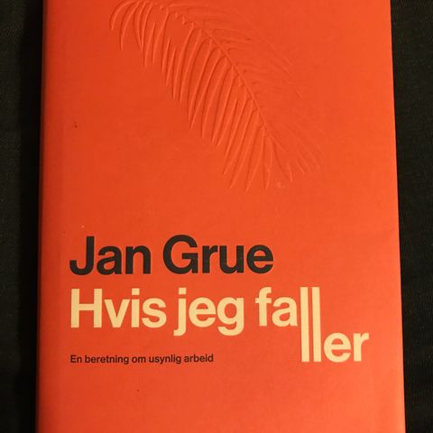 Hvis jeg faller av Jan Grue