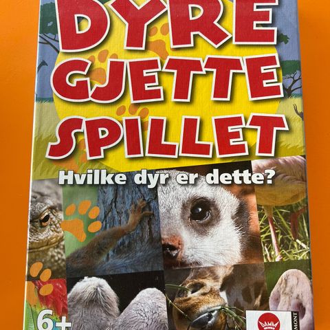 brettspill dyre gjette spillet