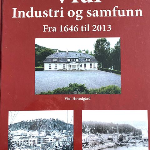 Grete Borgersrud og Jon-Otto Aarnæs: "Viul. Industri og samfunn 1646-2013"