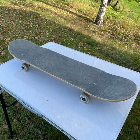 Skateboard