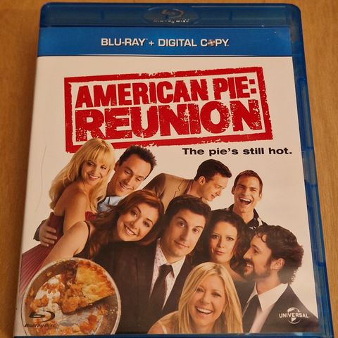 American Pie : Reunion  ( BLU-RAY )