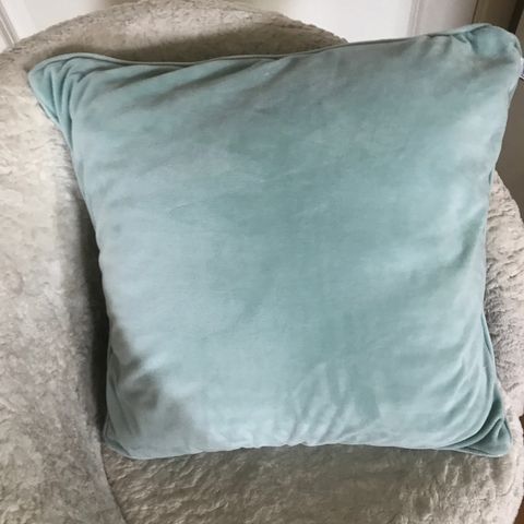 Fin pute i mint grønn velour, m/dun fyll. 50 x 50 cm.pent og lite brukt..