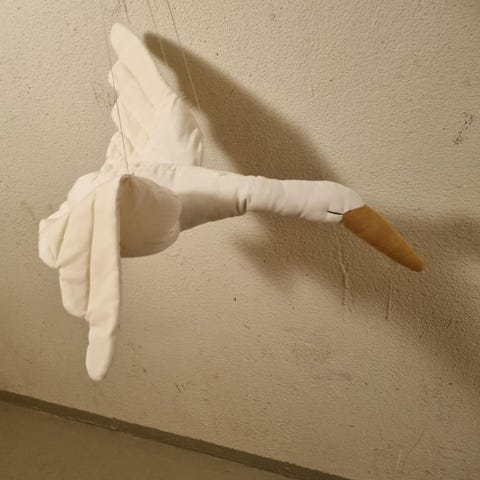 Annonsebilde