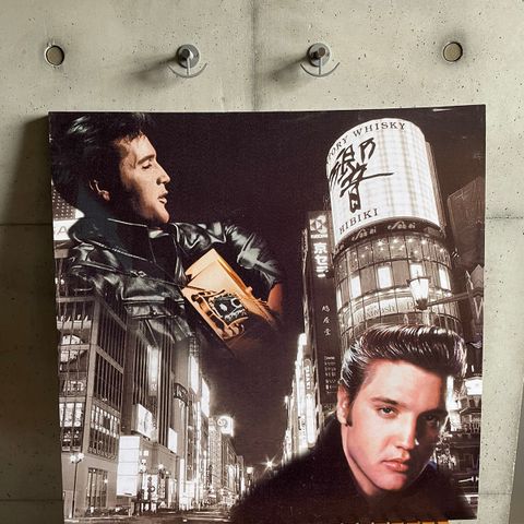 Elvis bilde 100*100 cm