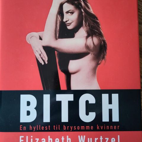 Elizabeth Wurtzel: Bitch. En hyllest til brysomme kvinner