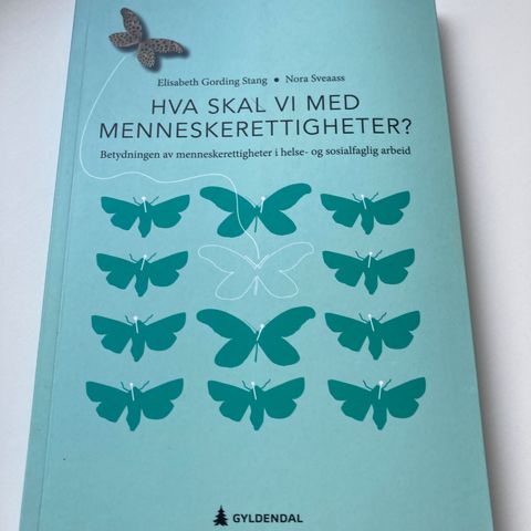 Hva skal vi med menneskerettigheter?