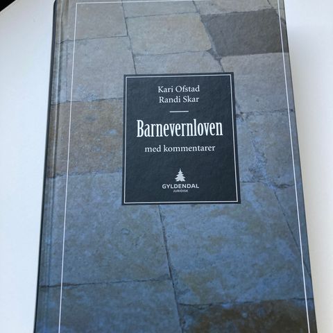 Barnevernloven med kommentarer