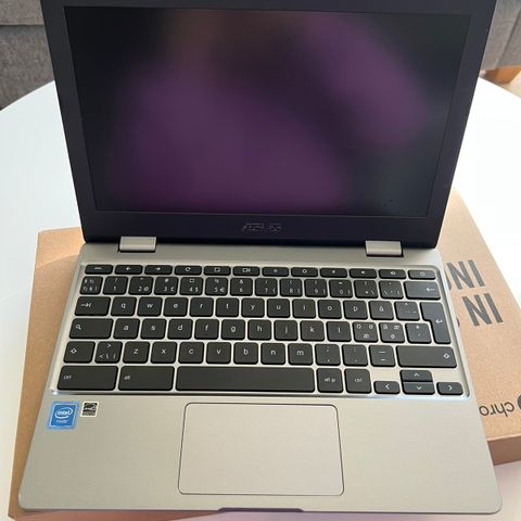 Asus Chromebook 11,6