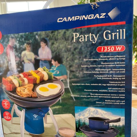 Camping party grill