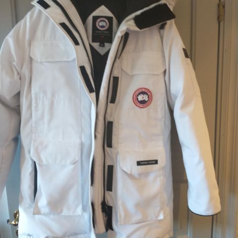 Hvit Canada Goose