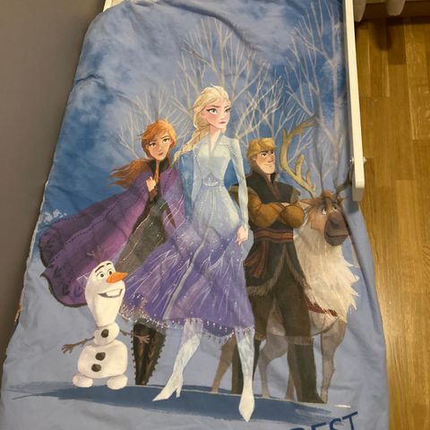 Frost, Elsa og Anna, frozen, dynetrekk og putetrekk barn