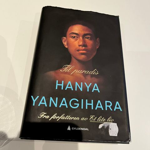 Bok - Hanya Yanagihara - Til paradis (nominert til priser)