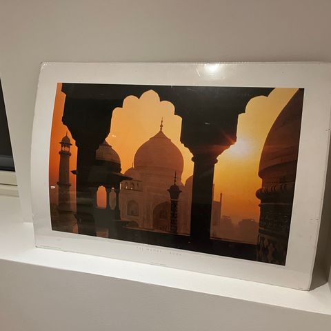 Taj Mahal stor poster/plakat 50x70cm
