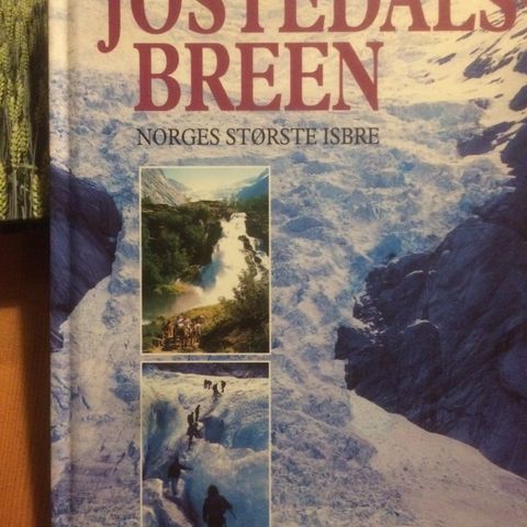 Jostedalsbreen