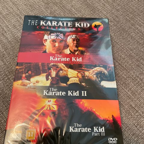 Karate Kid