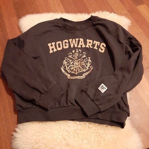 Harry Potter Hogwarts genser str 146 / 152