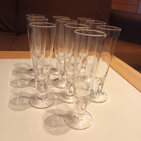 10 stk shotglass