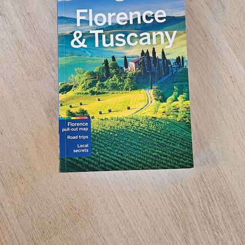 Lonely Planet reiseguide for Firenze og Toscana