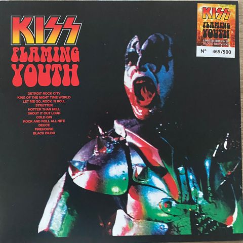 KISS - Flaming Youth