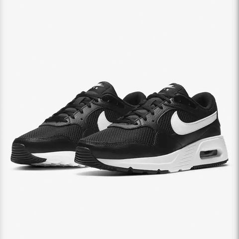 Nike Air Max SC (39)