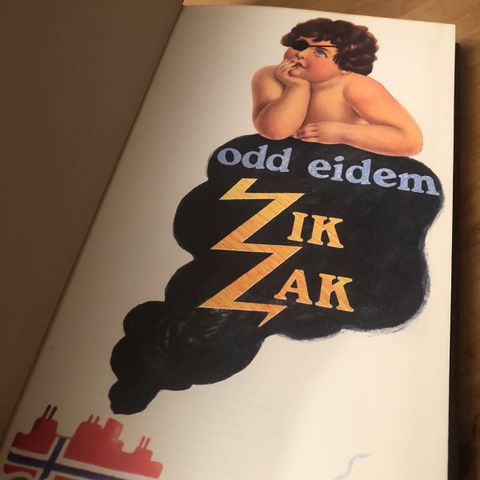 Odd Eidem- zikzak