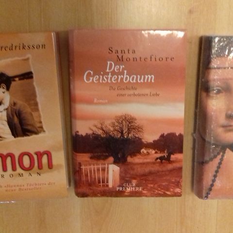 Liker du tyske romaner, ulest og ny