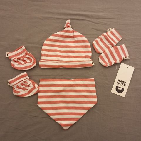 New Baby Bites newborn baby girl set, 0-3M