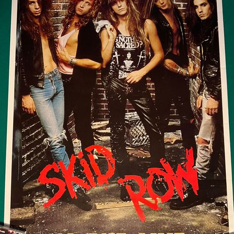 Skid Row - 18 and Live Poster