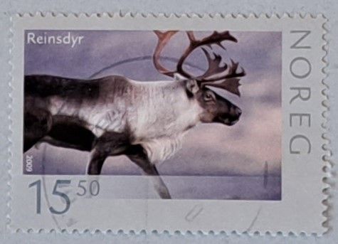 NK 1709. Norsk fauna IV. REIN. Lett stemplet.