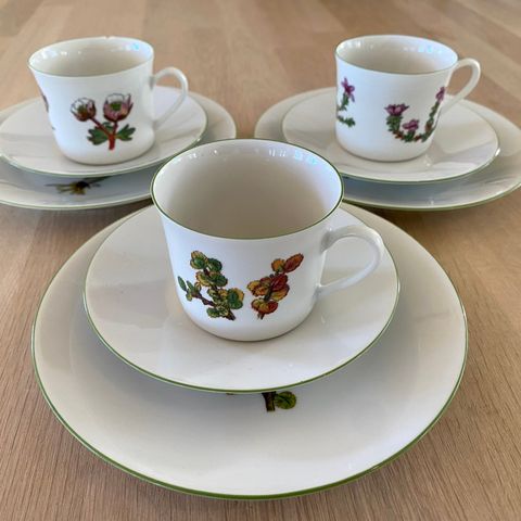 Fjellsflora Dagny Tande kaffesett