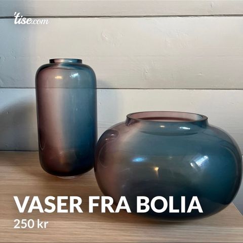 Bolia vaser