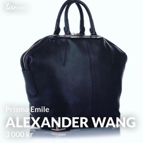 Alexander Wang Prisma Emilie