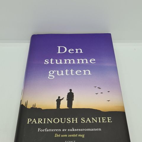 Den stumme gutten - Parinoush Saniee