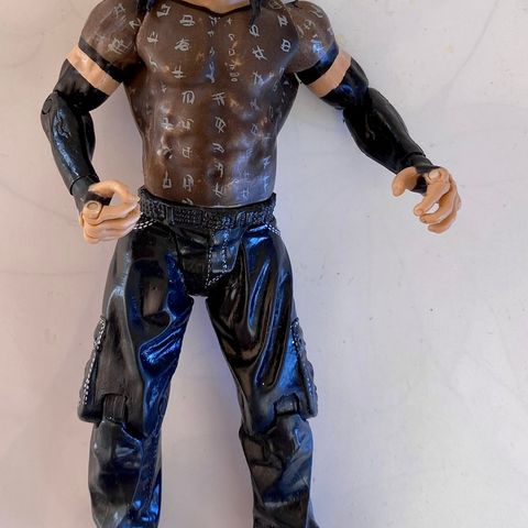 WWE/WWF Matt Hardy Jakks Pacific Wrestling figur 2001